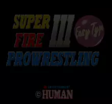 Image n° 3 - screenshots  : Super Fire Pro Wrestling III - Easy Type